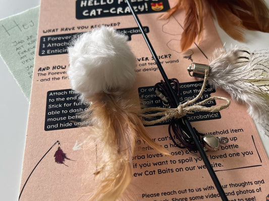Forever Stick: Unveiling the Most Durable Cat Toy on the Market