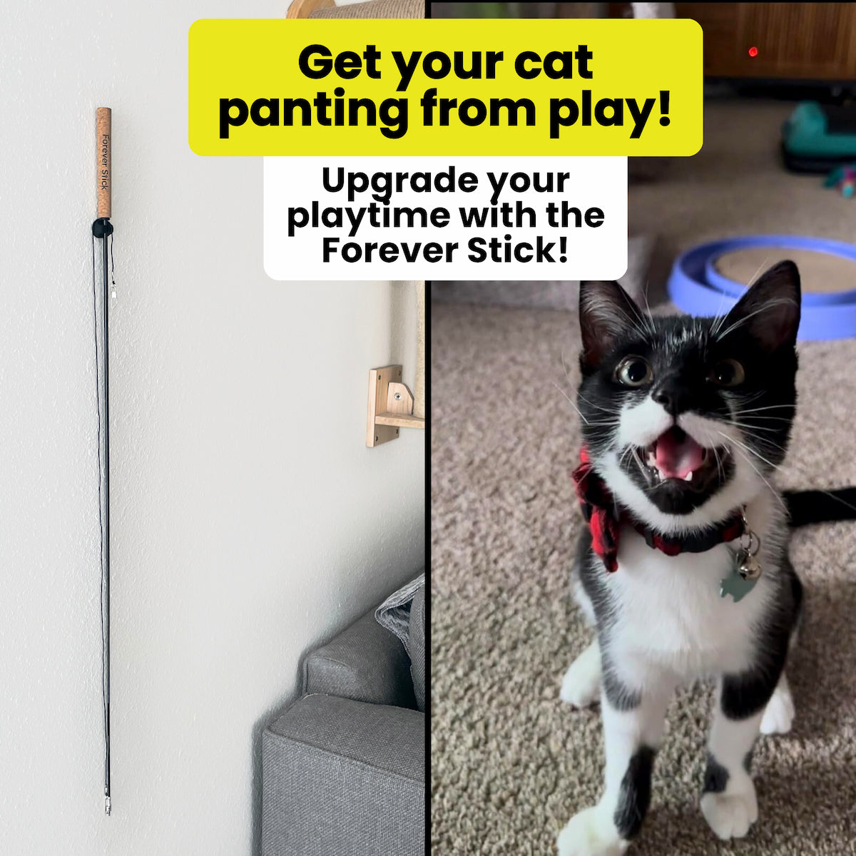 Forever Stick™ - The Unbreakable Cat Wand