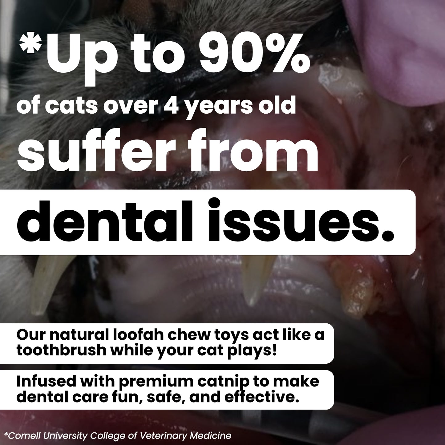 Toofah: Teeth-Cleaning Loofah & Catnip Chew Toy