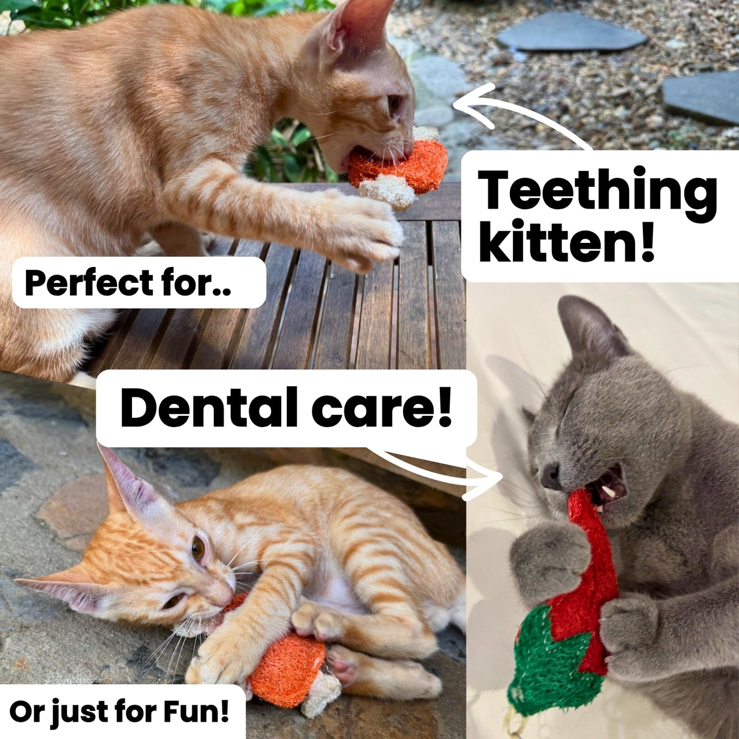 Toofah: Teeth-Cleaning Loofah & Catnip Chew Toy