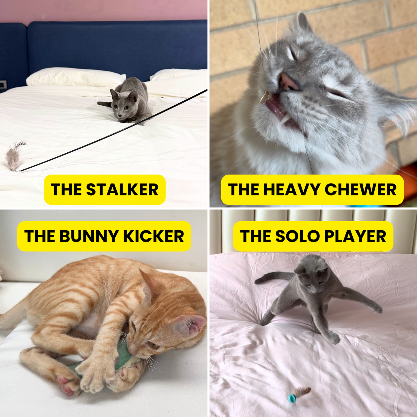 The Ultimate Toy Rotation Bundle