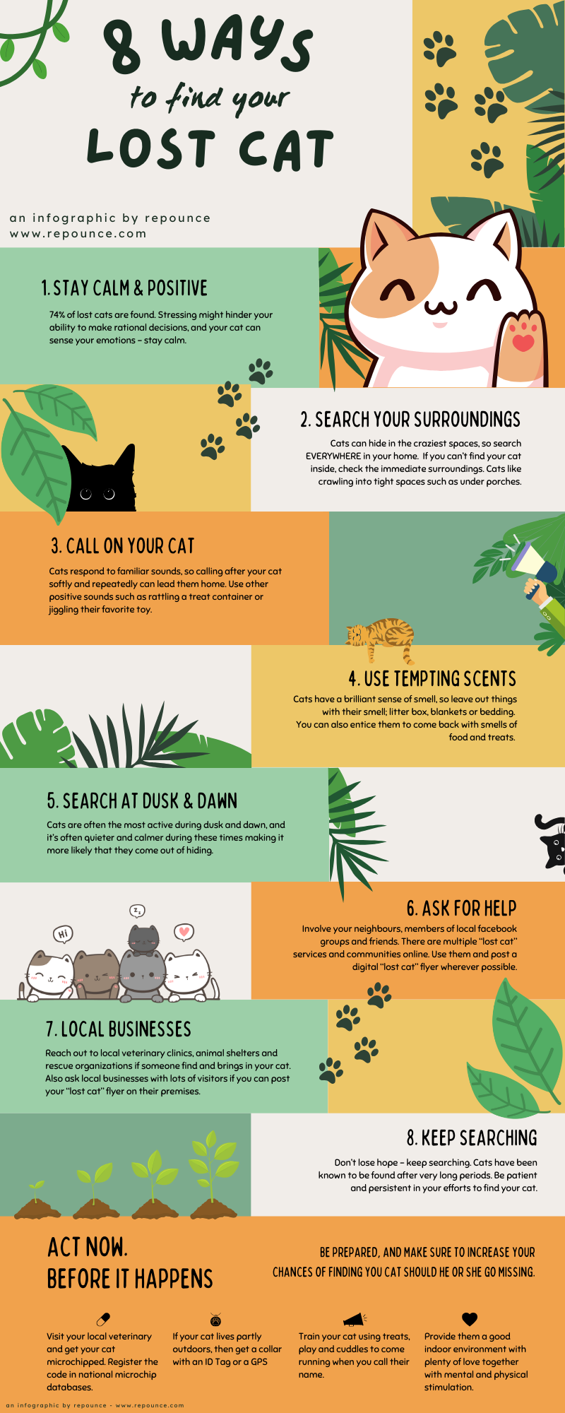 8 Things to do if your Cat runs away - and what to do now! – repounce