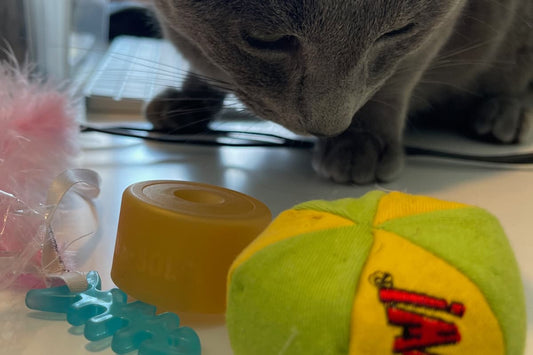 Exploring the Connection: Catnip and Feline Play