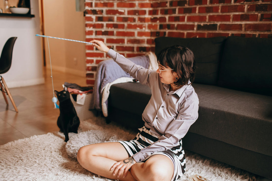 What Makes a Cat Wand Truly Durable? Materials, Build & Design Explained