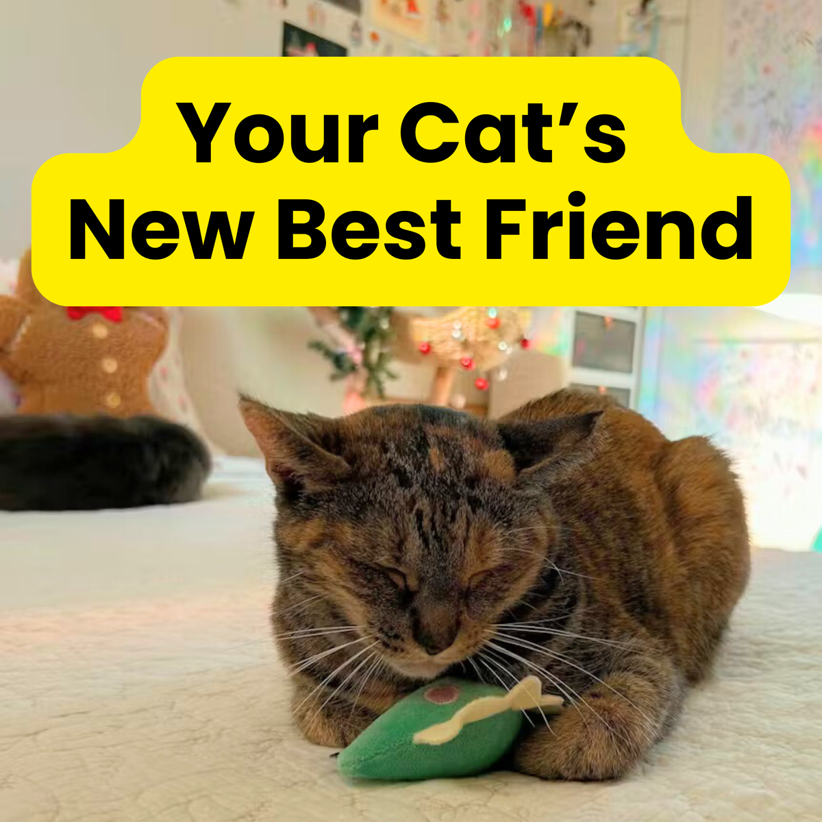 Dino Catnip and Crinkle Plush Toy