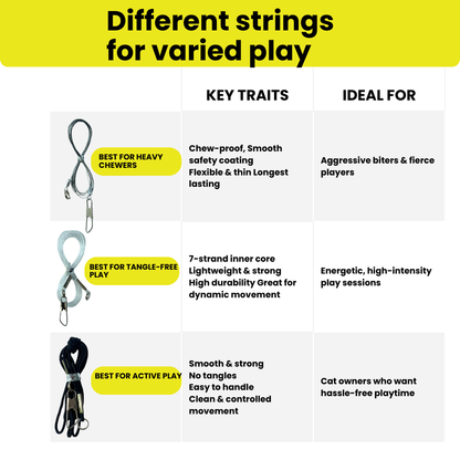 The Repounce Starter: Everything Your Cat Needs