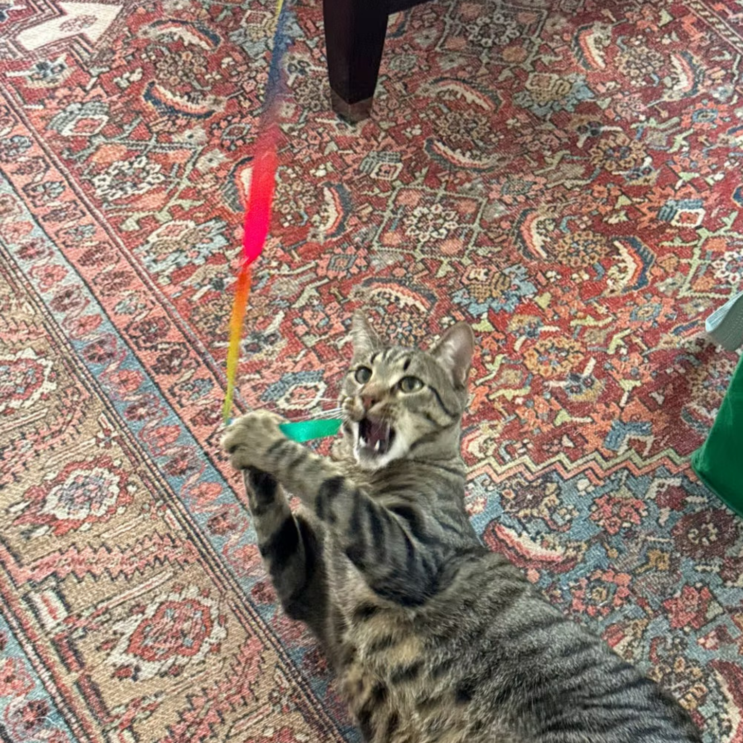 Rainbow Ribbon Toy Attachment