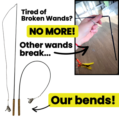 The Repounce Starter: Everything Your Cat Needs