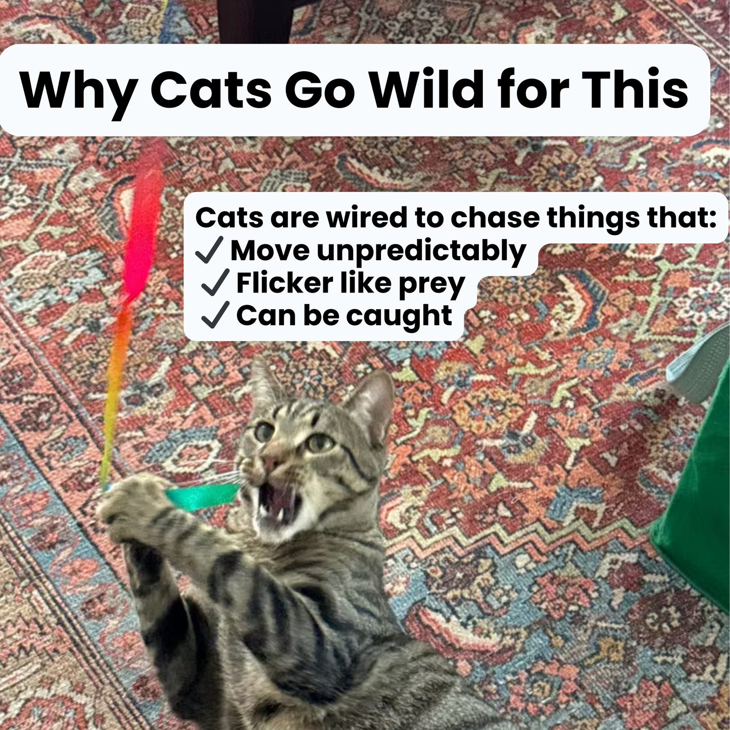 The Lucky Hunter Bundle