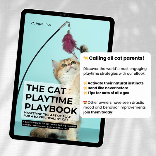 The Cat Playtime Playbook for a Happy Healthy Cat [E-Book]
