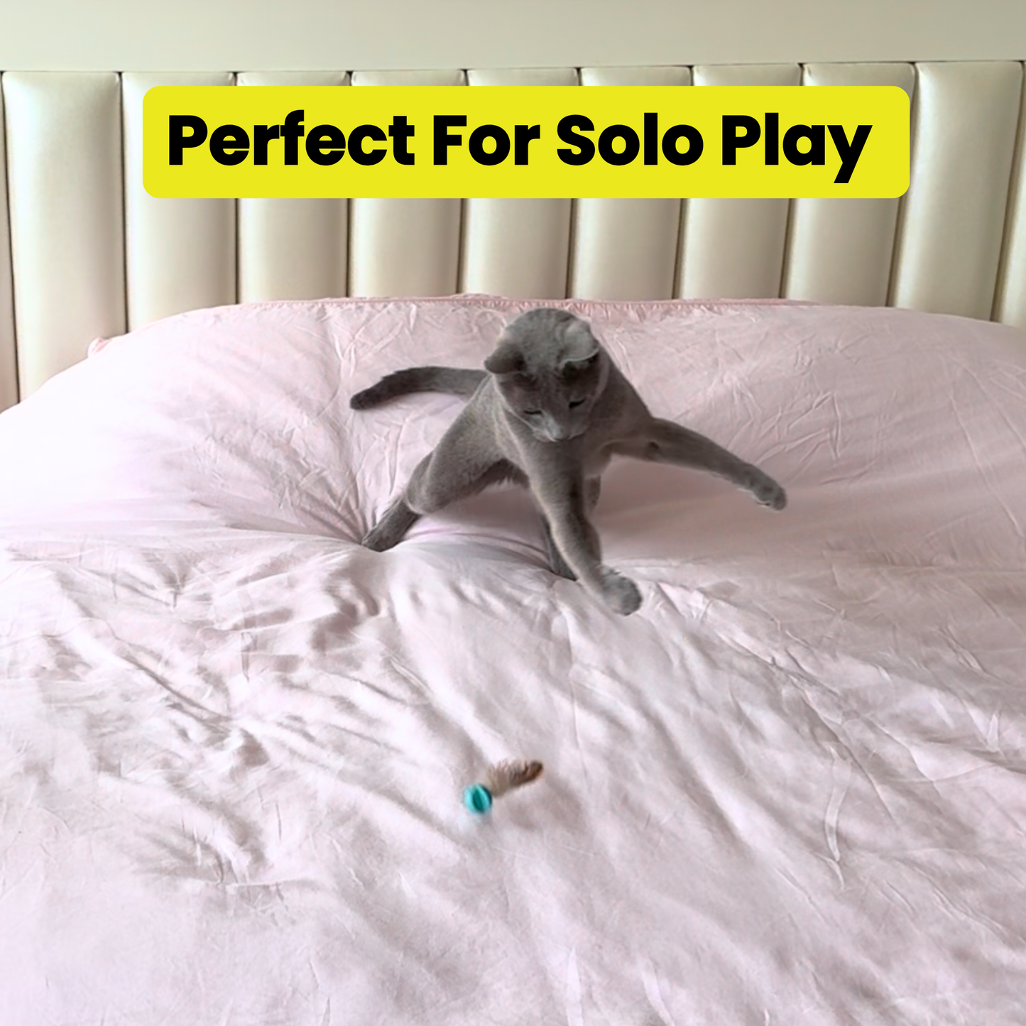 Forever Prey™ - The World's First Refillable Feather Toy