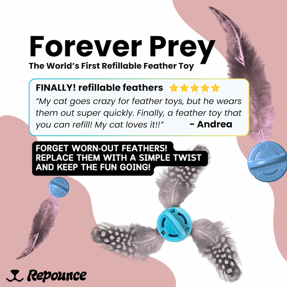 2x Forever Preys and a 10-Pack Rooster Feathers