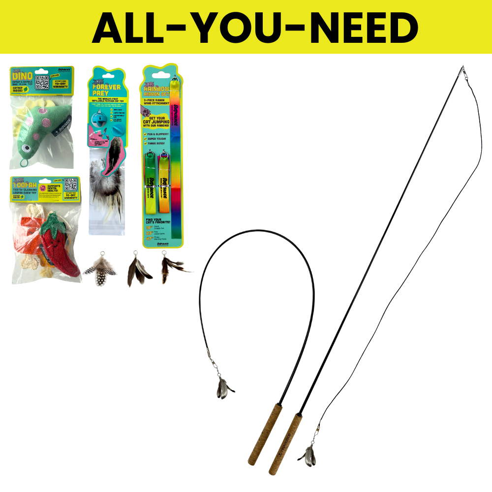 Black Friday Bundles!