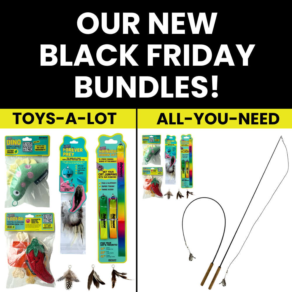 Black Friday Bundles!
