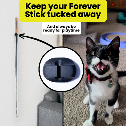 Wall Mount for the Forever Stick