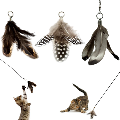 Feather Toy Attachment