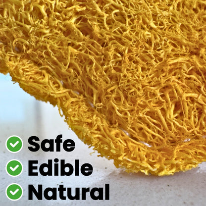 Toofah: Teeth-Cleaning Loofah & Catnip Chew Toy