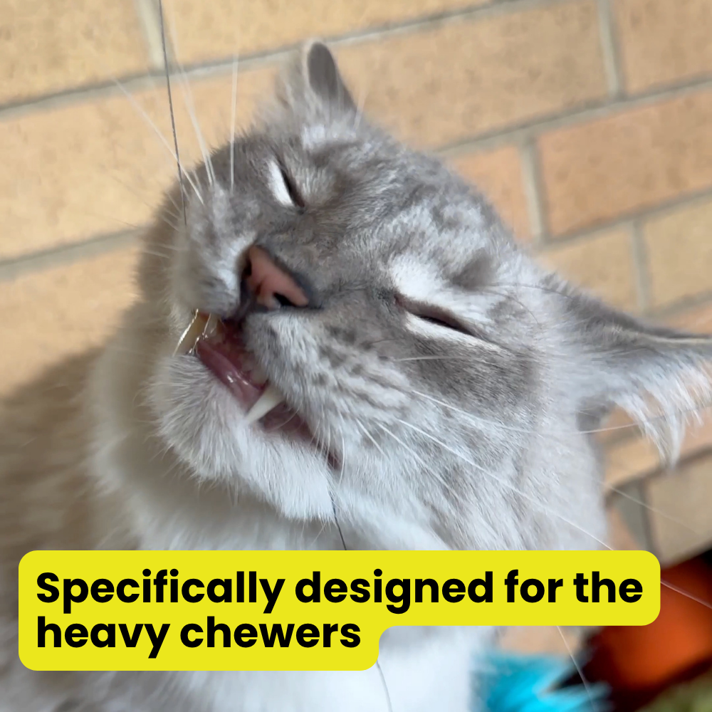 Heavy Chewers Pack Refill Strings - Replacement Strings for the Forever Stick Cat Wand