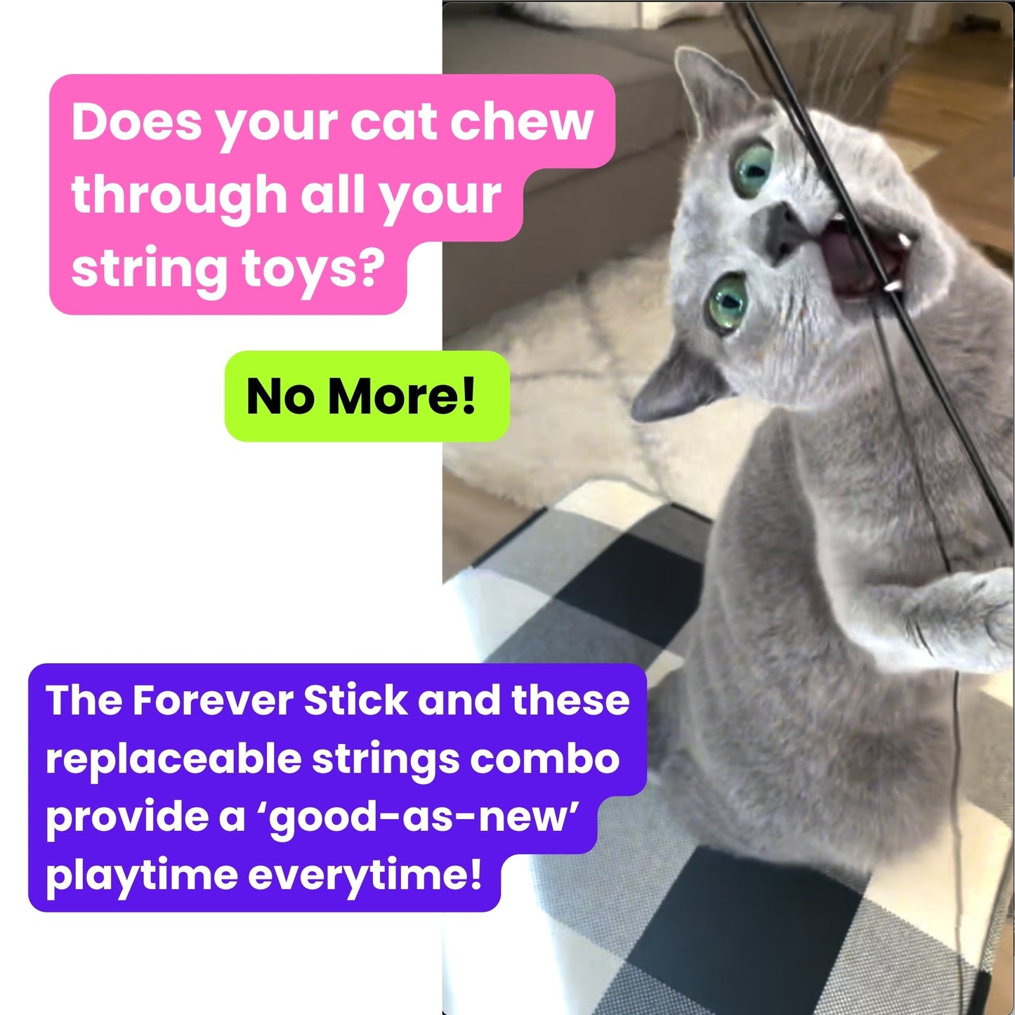 Heavy Chewers Pack - Replacement Strings for the Forever Stick Cat Wand