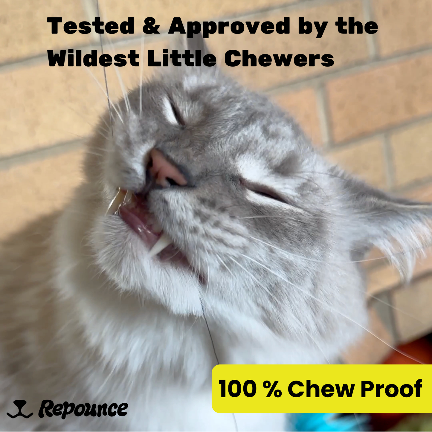 Heavy Chewers Pack Refill Strings - Replacement Strings for the Forever Stick Cat Wand