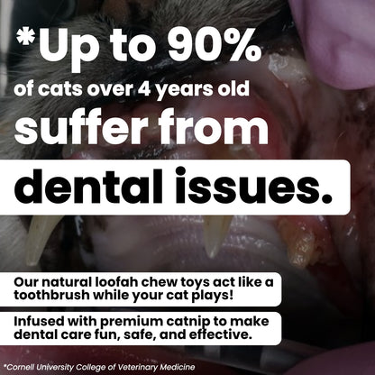 Toofah: Teeth-Cleaning Loofah & Catnip Chew Toy