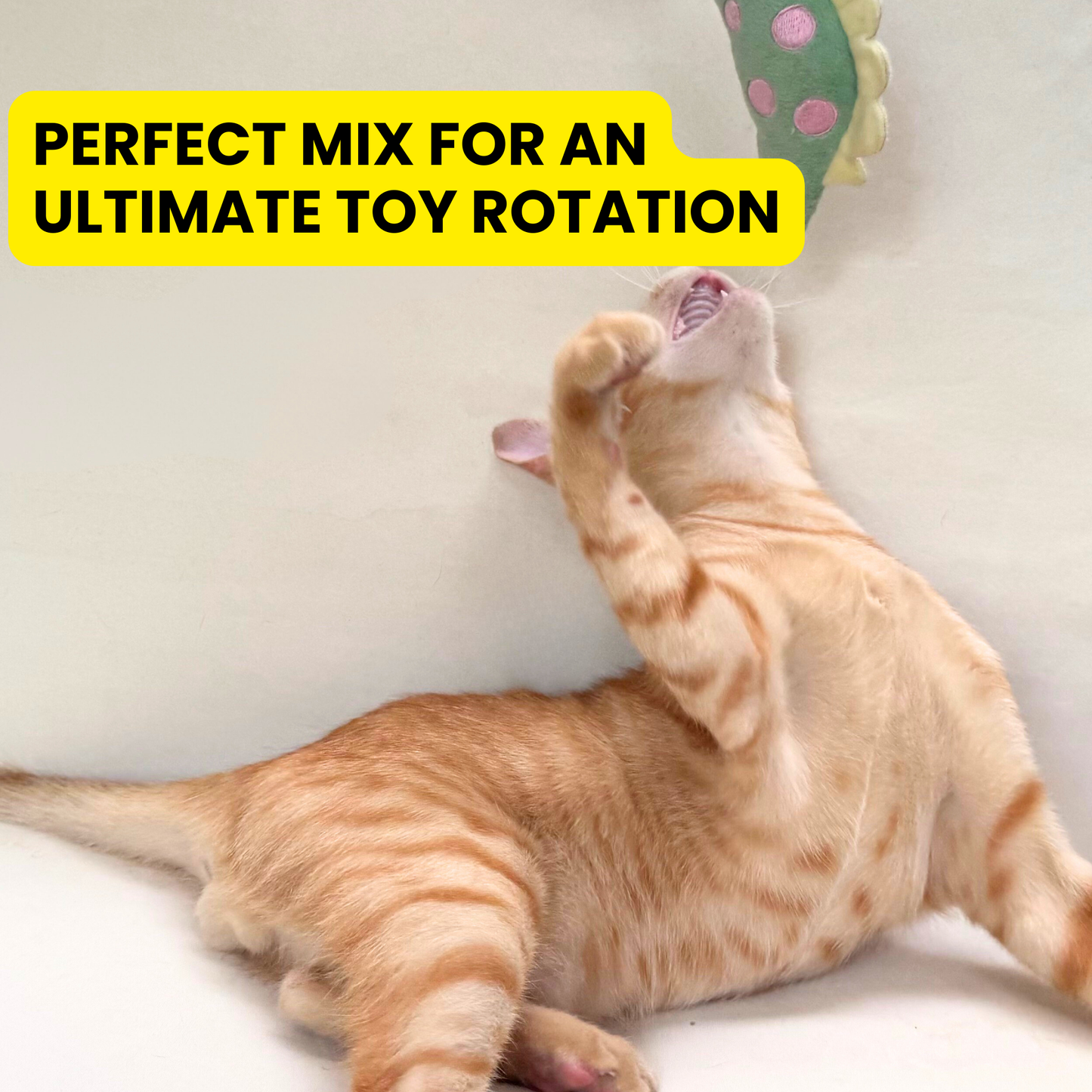 The Ultimate Toy Rotation Bundle