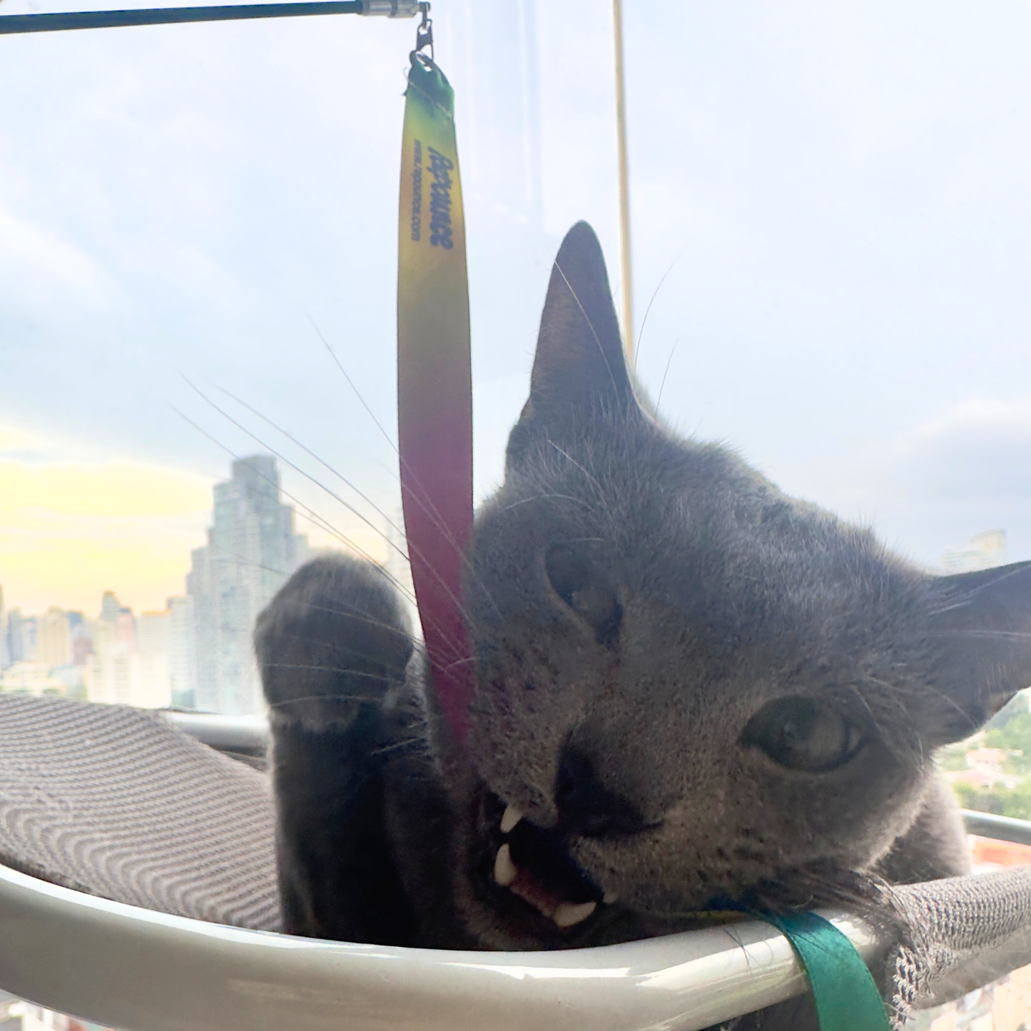 Rainbow Ribbon Toy Attachment