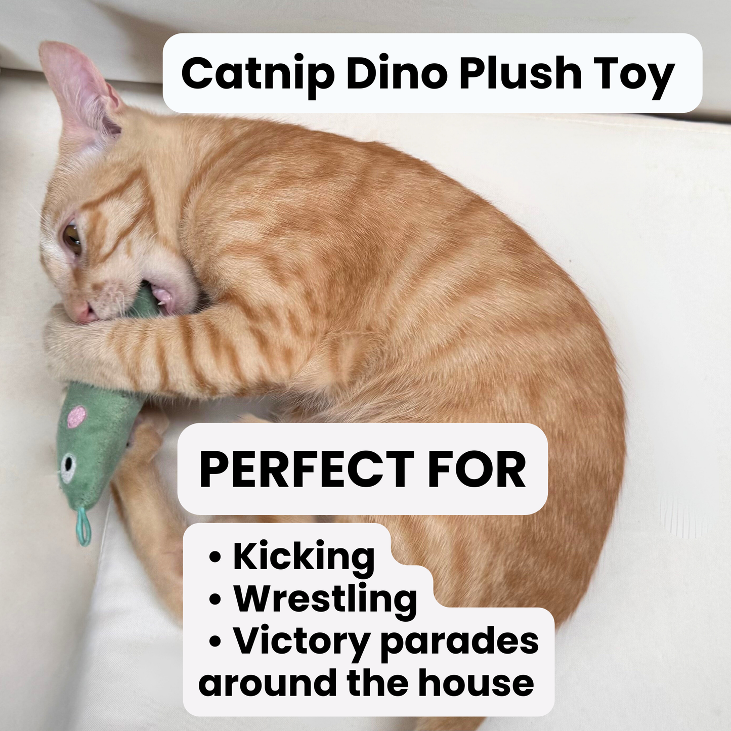 The Lucky Hunter Bundle