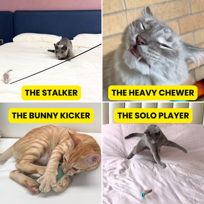 The Ultimate Toy Rotation Bundle