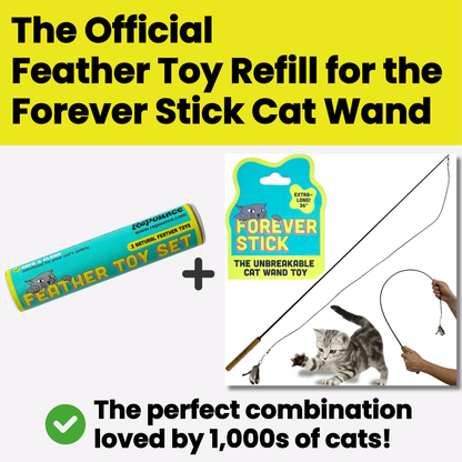 Feather Toy Attachment