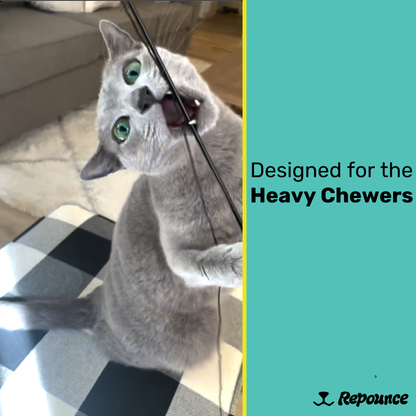 Heavy Chewers Pack Refill Strings - Replacement Strings for the Forever Stick Cat Wand