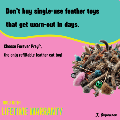 Forever Prey™ - The World's First Refillable Feather Toy