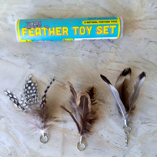 Feather Toy Attachment