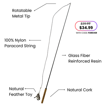 Forever Stick™ - The Unbreakable Cat Wand