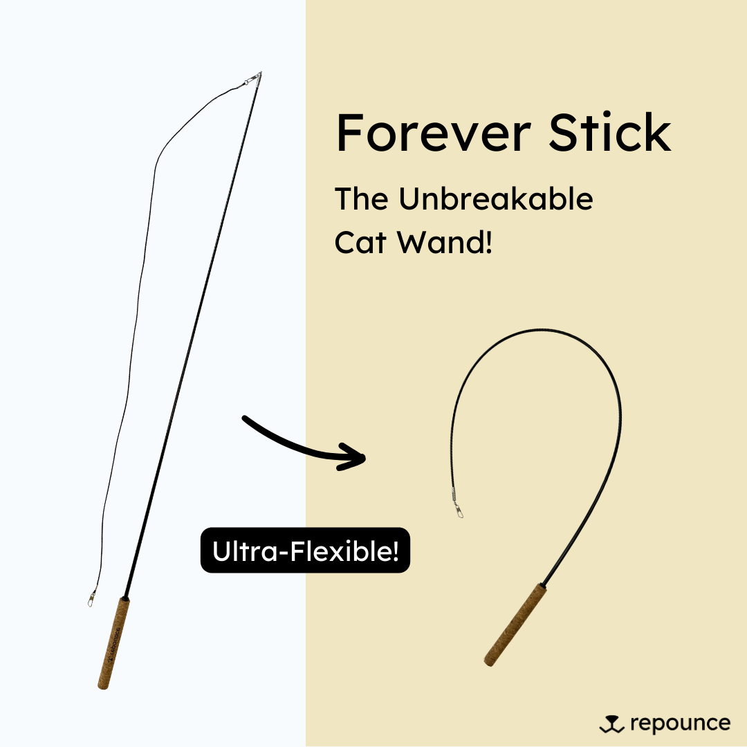 Forever Stick - The Unbreakable Cat Wand