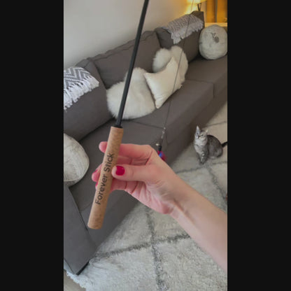 Forever Stick - The Unbreakable Cat Wand